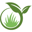 Novato Lawn Clean Up