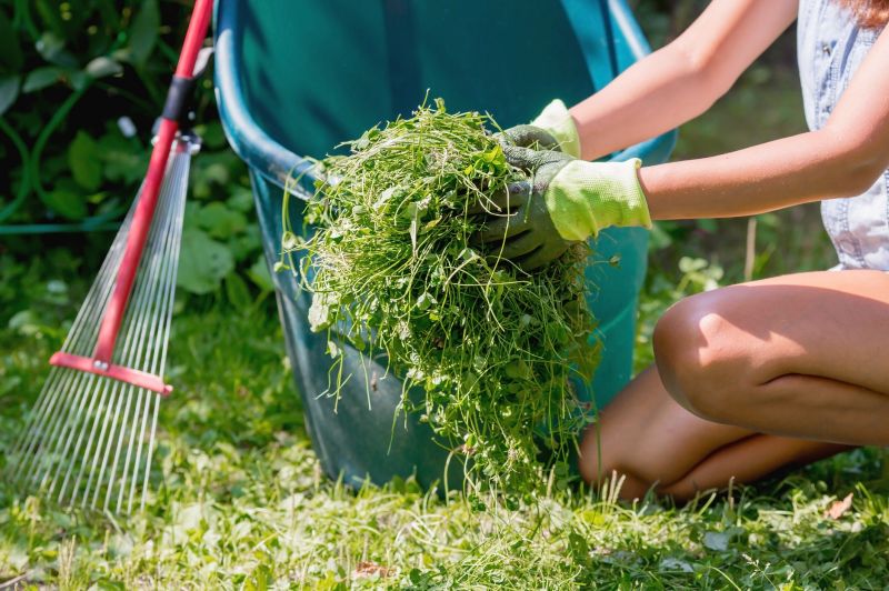 Lawn Clean Up Service