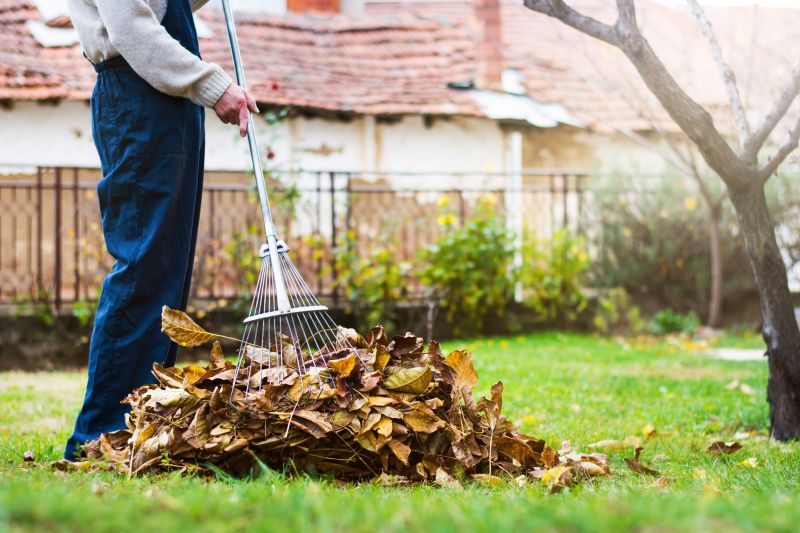 Leaf Cleanup Services